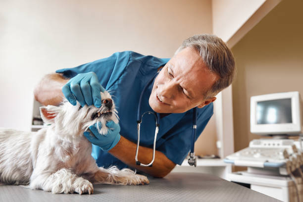 Best Urgent Dental Care in Unicoi, TN